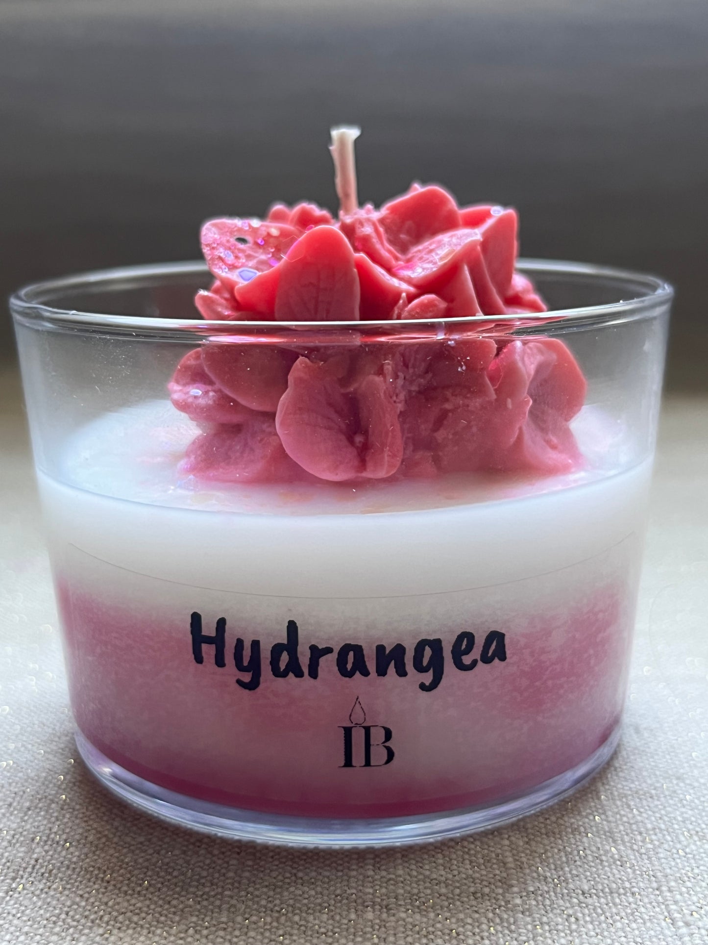 Pot Hydrangea Parfum Rose Passion