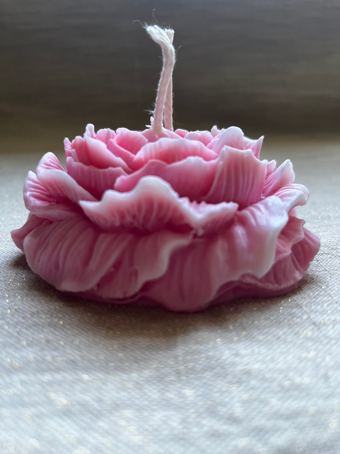 Bougie Magnificence Parfum Rose Passion