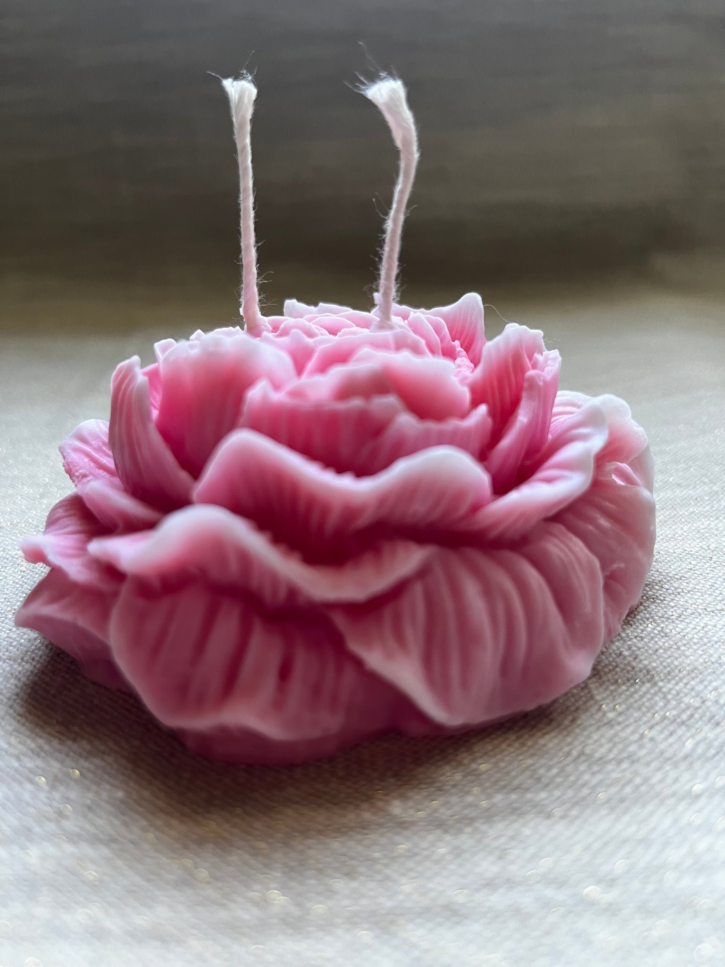 Bougie Magnificence Parfum Rose Passion