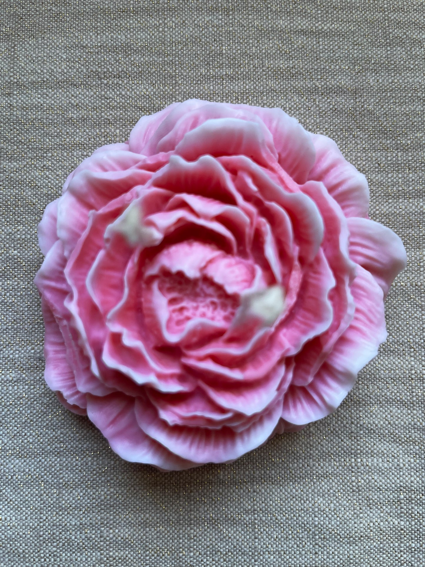 Bougie Magnificence Parfum Rose Passion