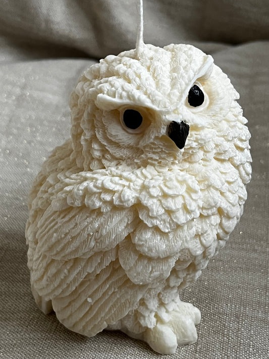 Bougie Chouette Parfum Vanille Gourmande